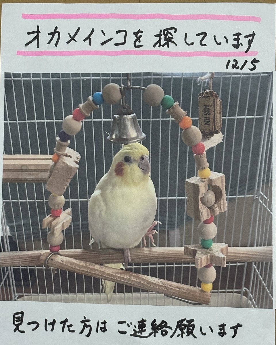 bird_k2c's tweet photo. 横浜市保土ヶ谷警察署会計課　
0453350110 https://t.co/UUFKDacmnI