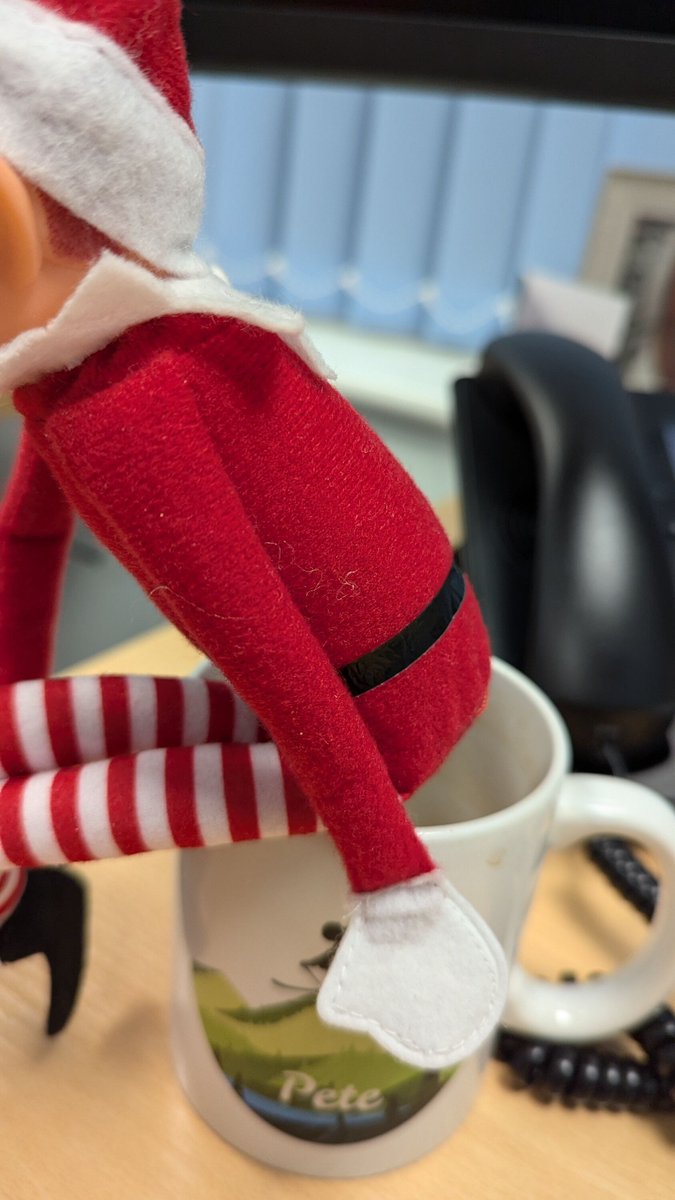 serenitydigital's tweet photo. Hee hee hee 🎄

Whilst all the Serenity Superstars Sleep or Sail on the other side of the world (#antiguacharteryachtshow), I'm busy taking over the gram, facebooks, linkSIN and twitter (oops sorry Mr Musk) to post my behind the scenes look at what happens when I get back from th https://t.co/2oZCo7Aq0L