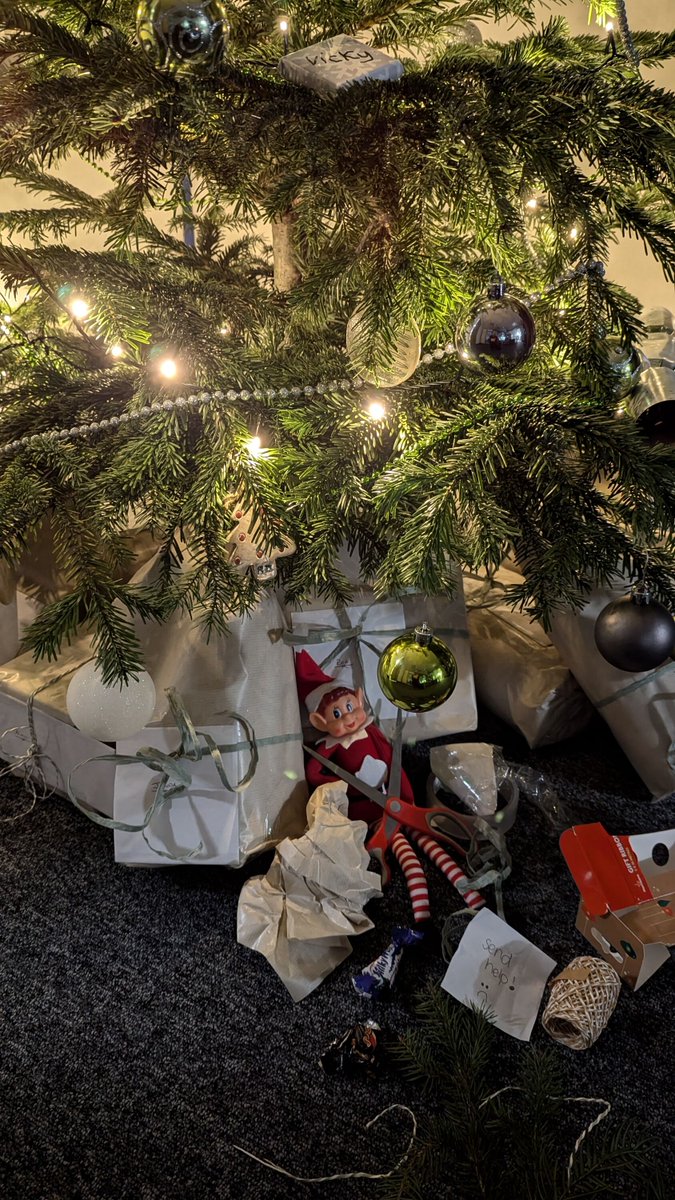 serenitydigital's tweet photo. Hee hee hee 🎄

Whilst all the Serenity Superstars Sleep or Sail on the other side of the world (#antiguacharteryachtshow), I'm busy taking over the gram, facebooks, linkSIN and twitter (oops sorry Mr Musk) to post my behind the scenes look at what happens when I get back from th https://t.co/2oZCo7Aq0L
