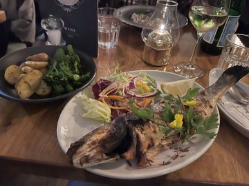 mrantoniopeters's tweet photo. Tonight’s dinner. https://t.co/idLpQfiDuW