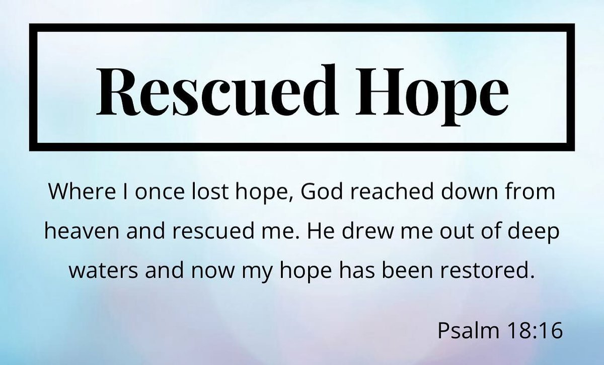 Melissa Marie tweet media