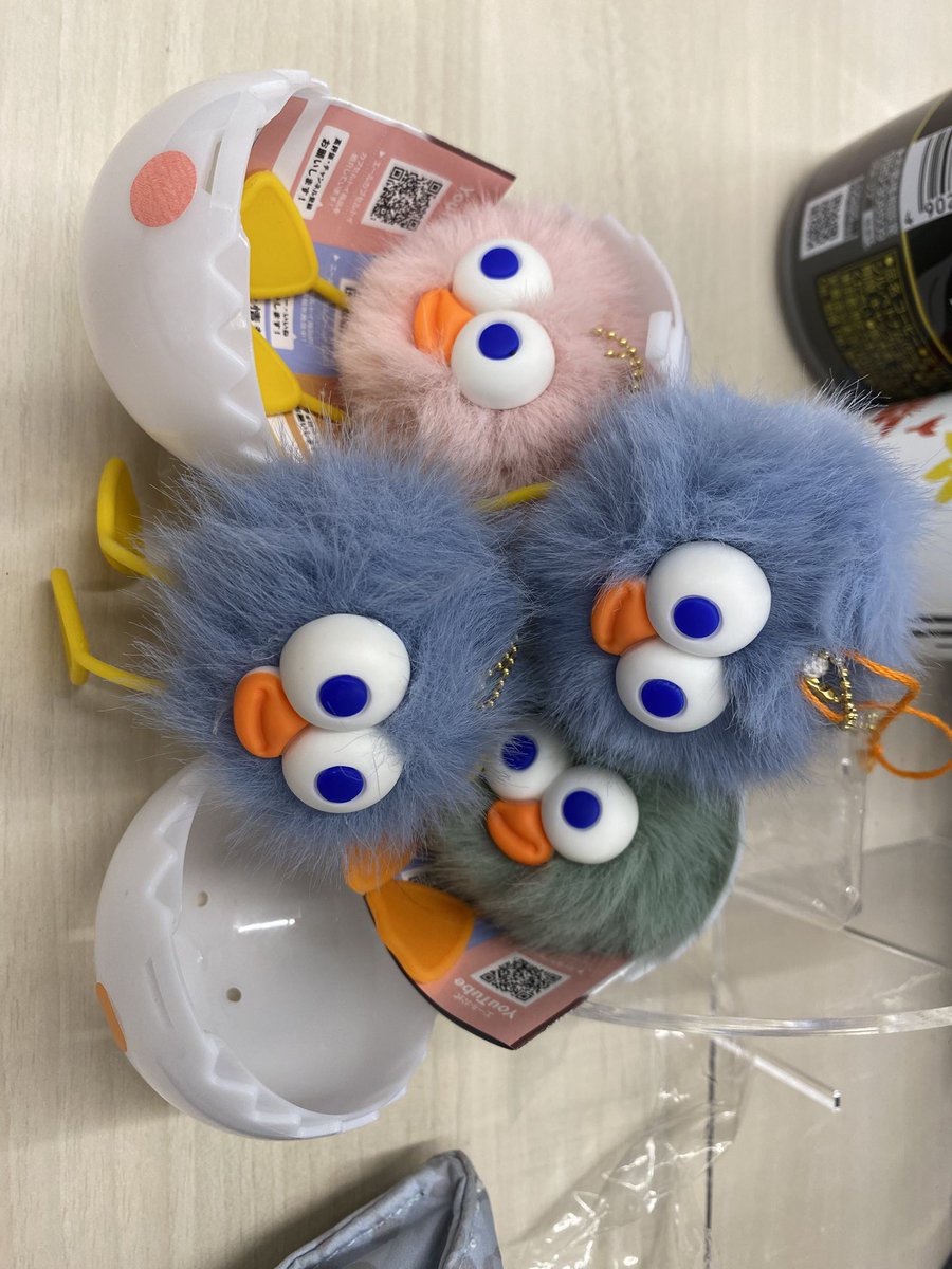 shibasas's tweet photo. ケドリ。可愛いがすぎて
家にも職場にも増殖中 https://t.co/57SvNTsvys
