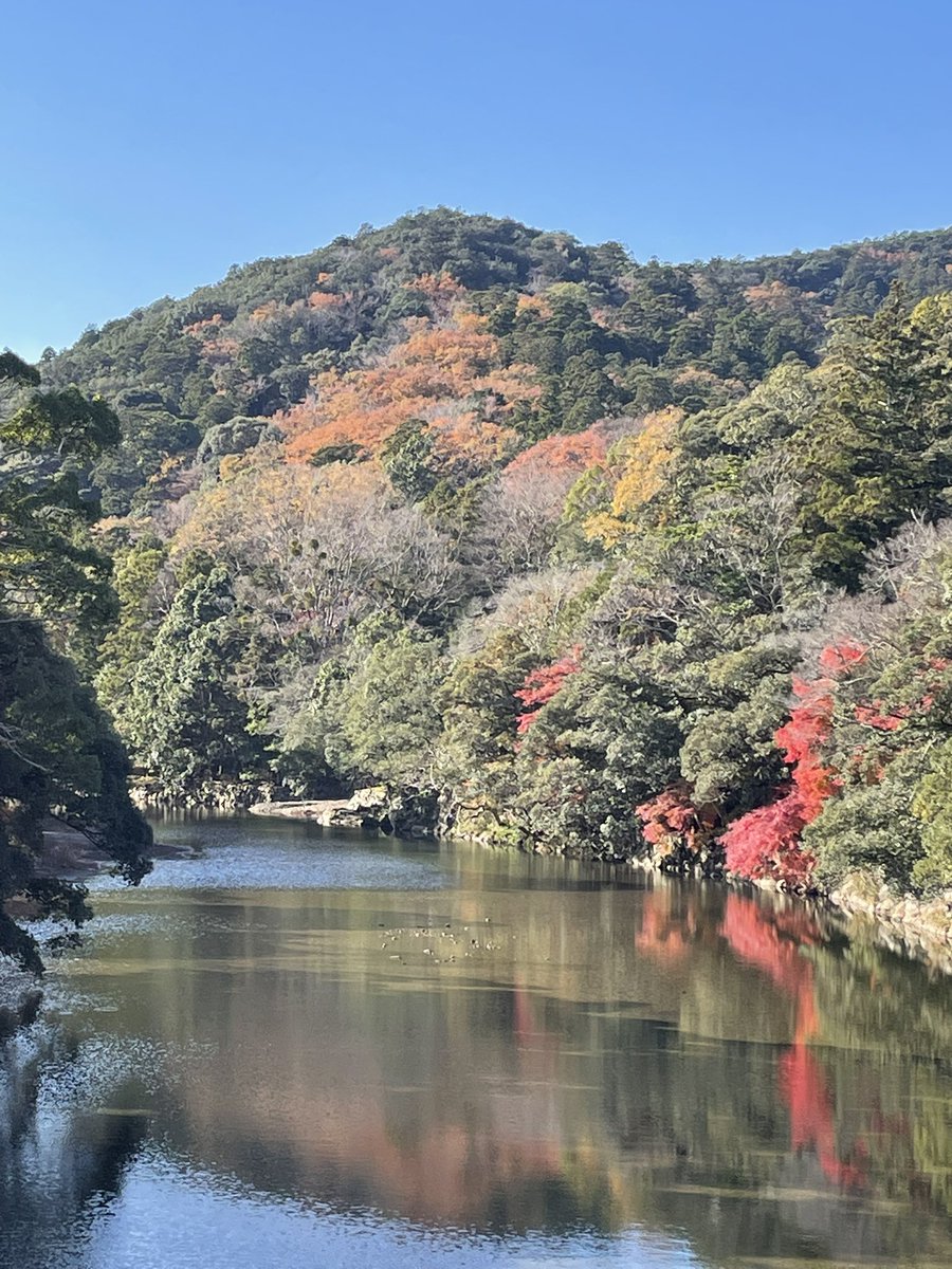 ma0126m's tweet photo. 外宮にもちゃんと行って参りました
とにかくエネルギーが高い!
氣づきと学びが交互に自分の中に
落とし込む納得の繰り返しでした
天照大神様ありがとうございます
感謝します https://t.co/1ujzBQo22C