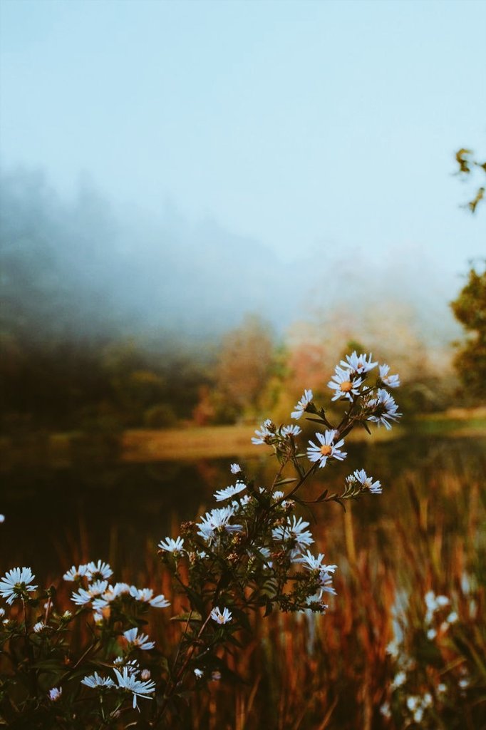 December is a simple wish that brings spectacular moments...

#DecemberVibes