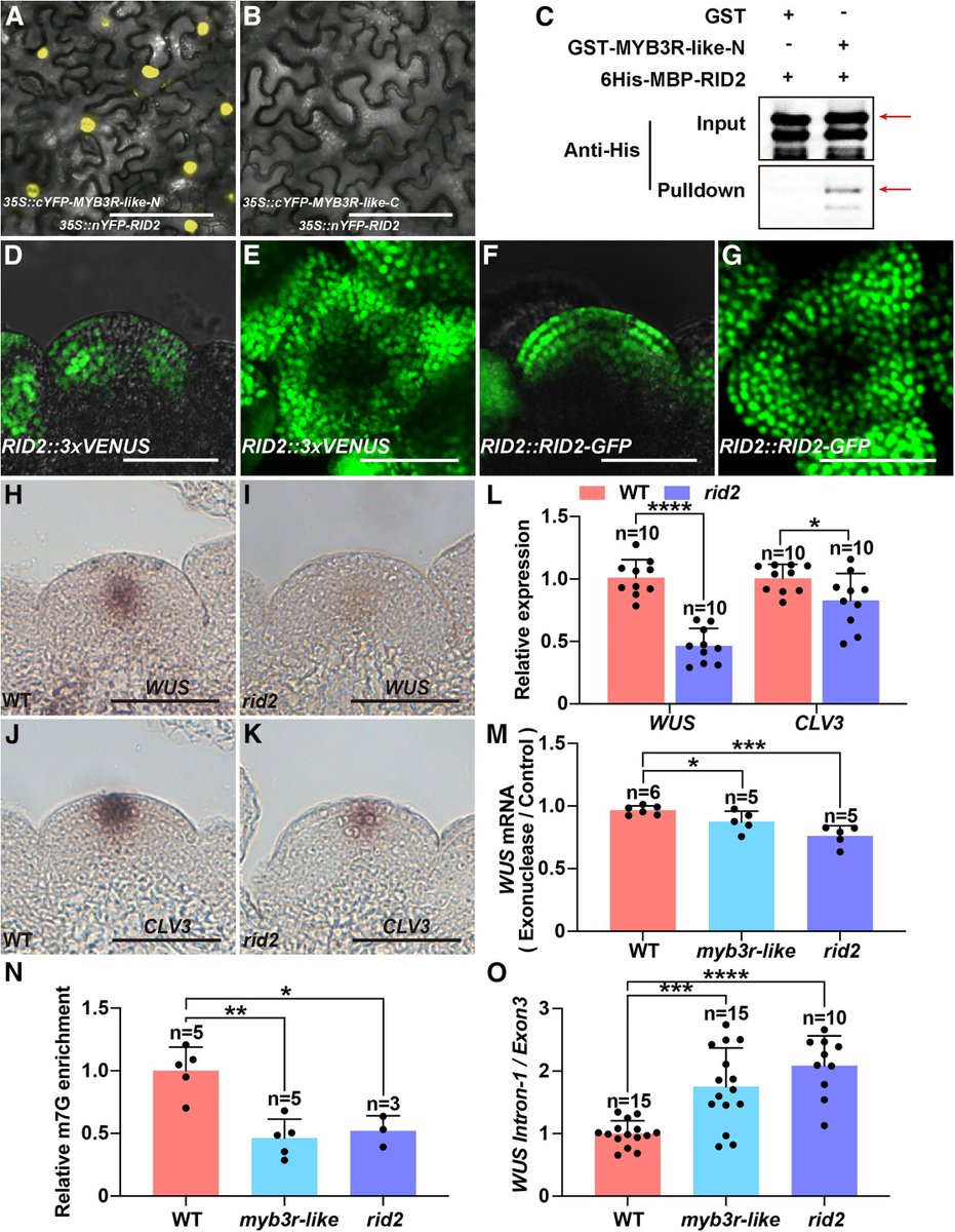 Plant Science tweet media