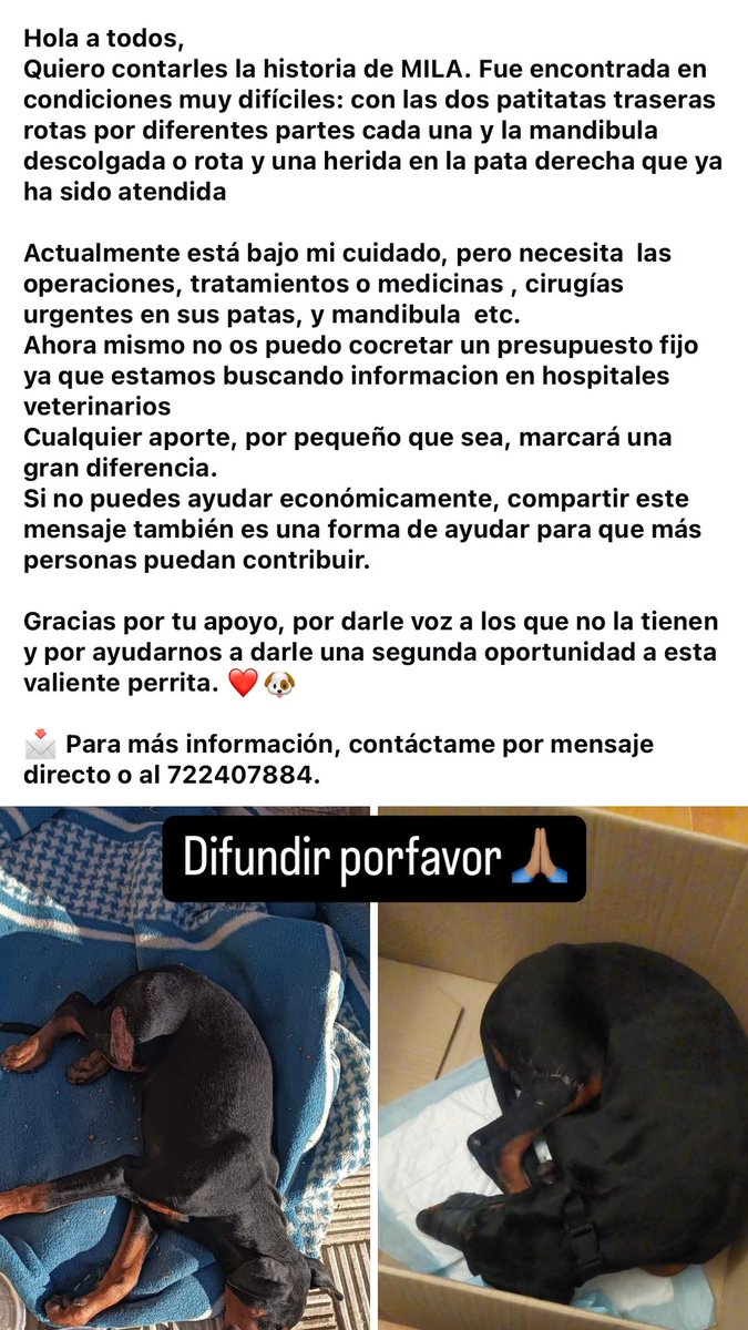 EliBernalS's tweet photo. Ayudar a Mila por favor ❤️‍🩹🙏🏽 https://t.co/m9XFfRxlH3