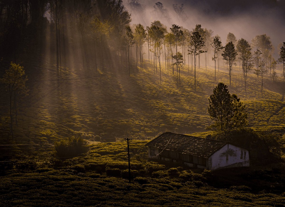 musthafa777's tweet photo. Some personal information about me. 

🍂Am a photographer based in India. 

🍂I have been an active web3 gamer since 2021. 

🍂Now am working as a content creator

🍂Now I belong to the @Persona_Journey community. 

🍂Always love to support other content creators. https://t.co/KfVLA4iejO