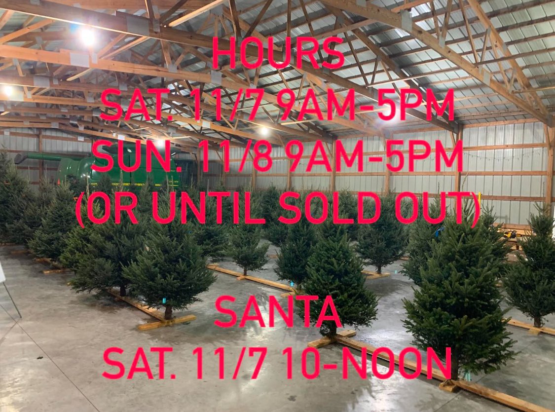 4EvergreenTree's tweet image. 