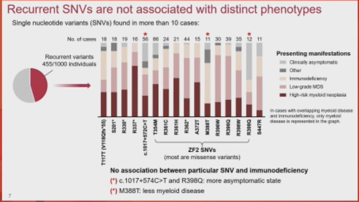 DrDavidJYoung's tweet photo. Correlating specific variants with risk is the holy grail of IMBFS/CPS research, but findings can be so fleeting. We will succeed only with determination, careful subsetting, and examining large cohorts as occurs through collaboration as shown by @LKotmayer #ASH2024 #HemeTwitter https://t.co/zWDU1jZcM0