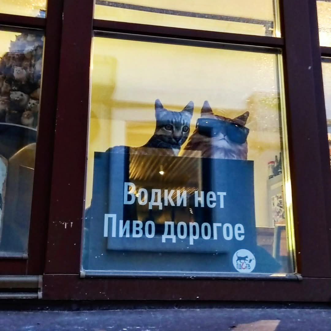 arkhlikbez's tweet photo. Владимир https://t.co/obJ1pHqPBp