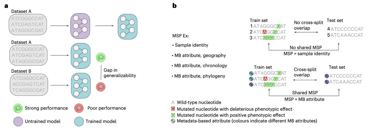 Marinka Zitnik (@marinkazitnik) on Twitter photo Are biomedical AI models truly as smart as they seem? <a href="/YEktefaie/">Yasha Ektefaie</a>
rdcu.be/d2D0z
Our <a href="/NatMachIntell/">Nature Machine Intelligence</a> paper introduces SPECTRA, a framework that evaluates models by considering the full spectrum of cross-split overlap: train-test similarity
SPECTRA reveals gaps in Are biomedical AI models truly as smart as they seem? <a href="/YEktefaie/">Yasha Ektefaie</a>
rdcu.be/d2D0z
Our <a href="/NatMachIntell/">Nature Machine Intelligence</a> paper introduces SPECTRA, a framework that evaluates models by considering the full spectrum of cross-split overlap: train-test similarity
SPECTRA reveals gaps in