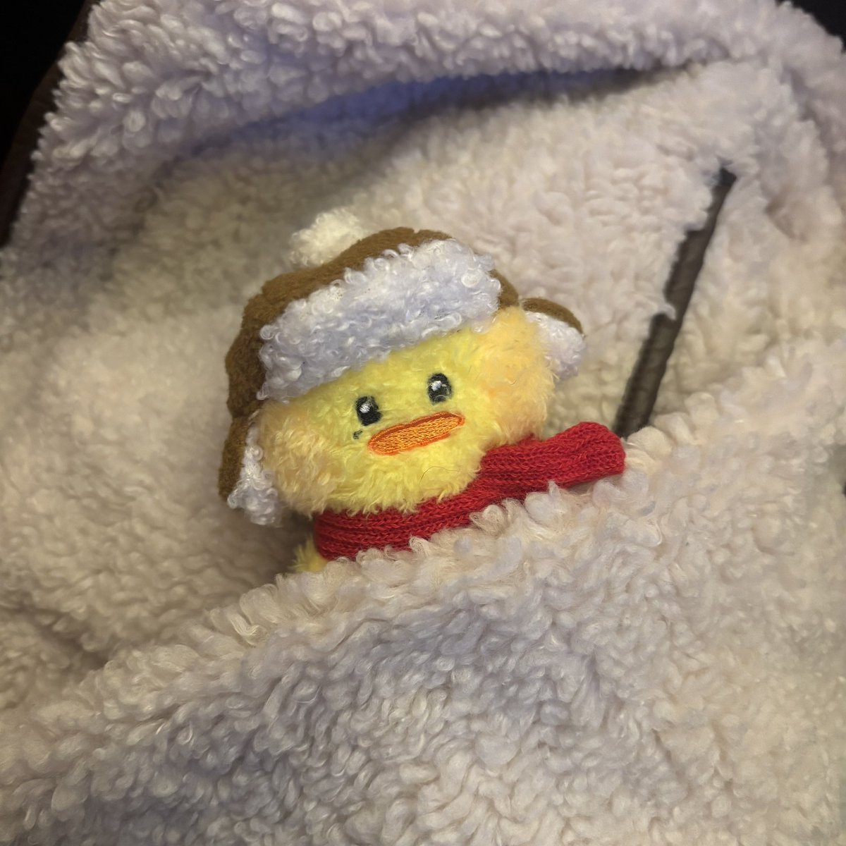 초바비 tweet media