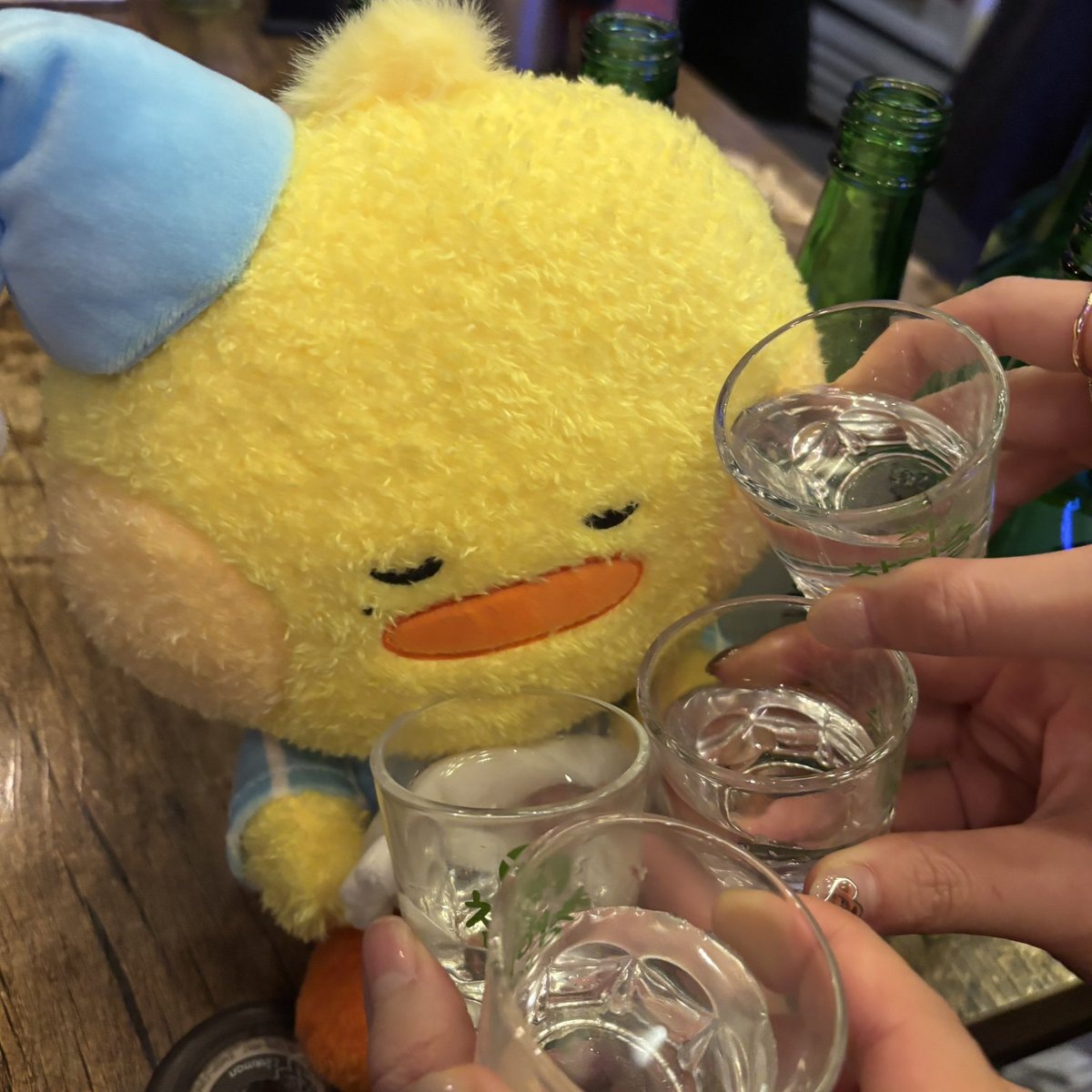 초바비 tweet media