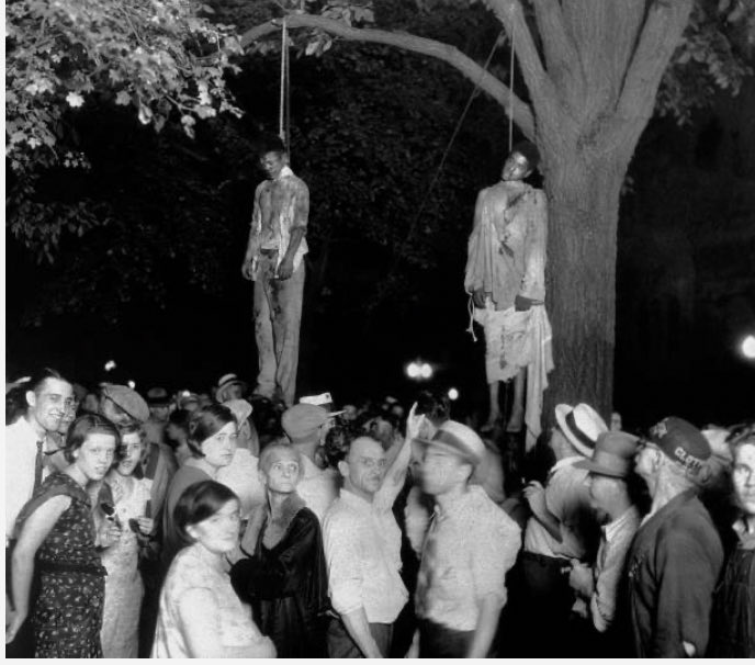 Curtis Scoon tweet media