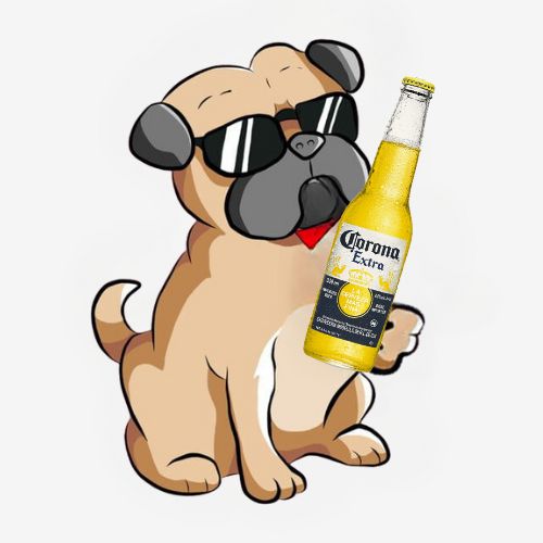 PugLightCoin's tweet photo. AIRDROP INCOMING DROP WALLET🦴🚀 $PUG #Solana https://t.co/U9XGiuhe8e