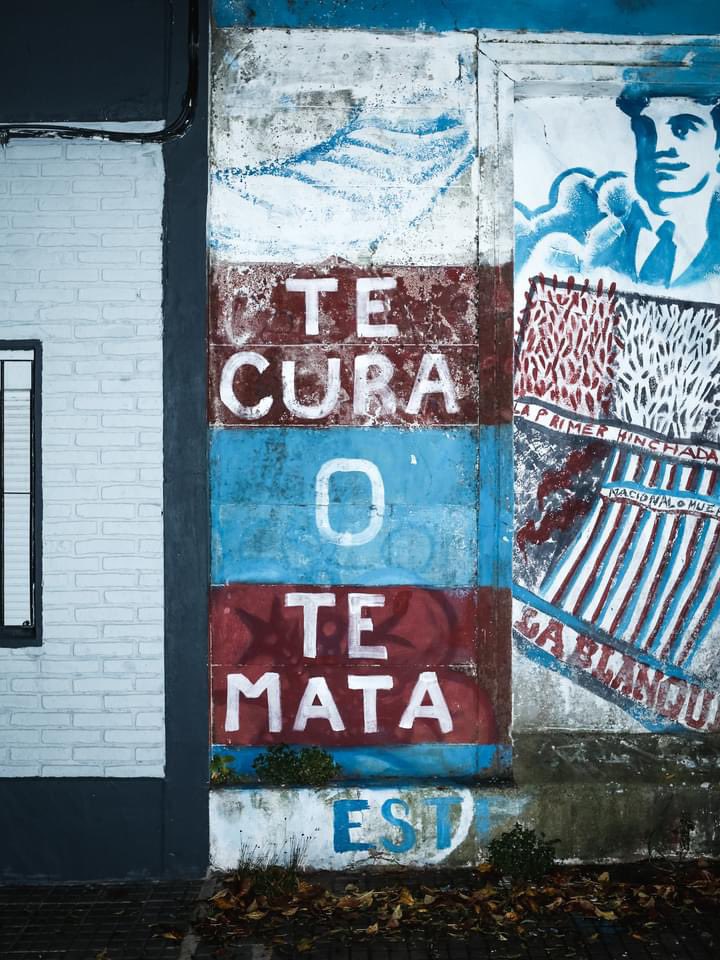 volpe_gonza's tweet image. 