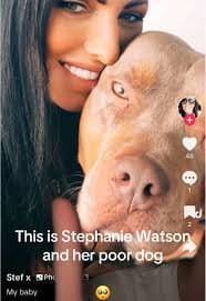 Moe.K xxx porn hub' on X: "stephanie watson glasgow dog stephanie ...