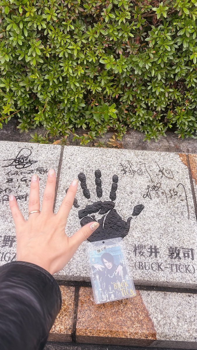 3105xxx's tweet photo. ライブついでに京都に行ったり岐阜に行ったり https://t.co/wh8b7nj8kd
