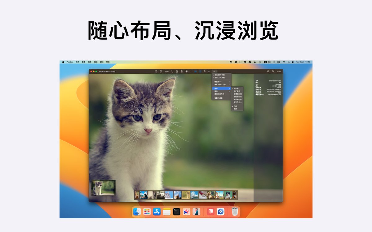 chitanerk's tweet photo. 前几天更新了，Picview看图图片浏览，宣传图。个人比较满意，猫猫很有意思。Picview现在布局更加自由了，缩略图可以放在左边，放在底部，顶栏可以置顶。https://t.co/JLBeaPSamt https://t.co/U3H0ETo2ti