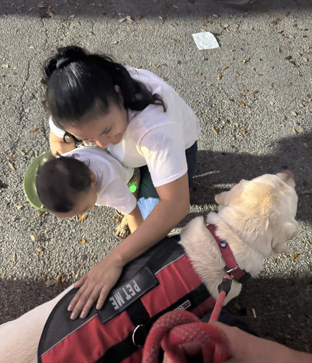 OscarTherapyDog's tweet photo. Tonight we attended a toy give away event. Oscar made lots of new friends.Always great to see everyone smiling and having a wonderful time. #therapydog #firstresponderspack #bsofr #holidayseason #giveback #makeadiffernce https://t.co/vpfsXc716N