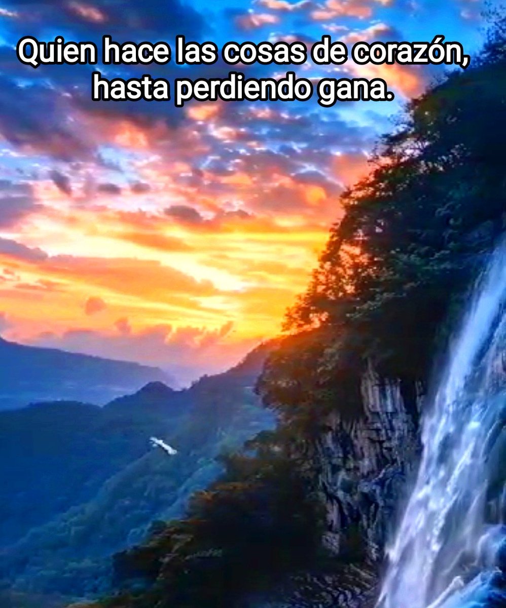 AnarcoNews's tweet photo. #Ganador https://t.co/YqusgAh4hf