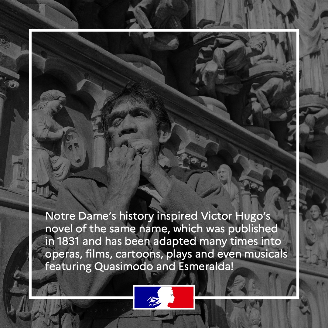 France Diplomacy 🇫🇷🇪🇺 tweet media