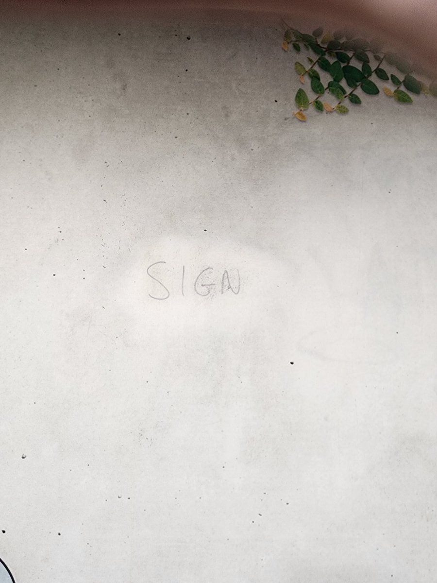 Jen Carnovale tweet media