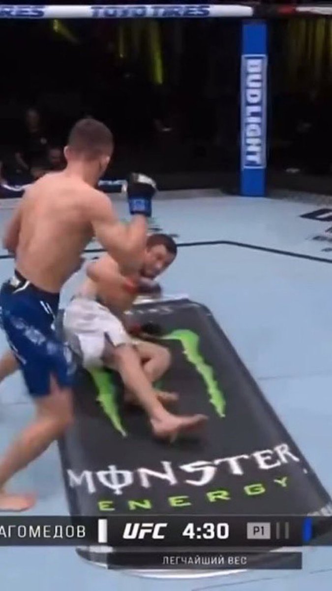 Casual MMA tweet media