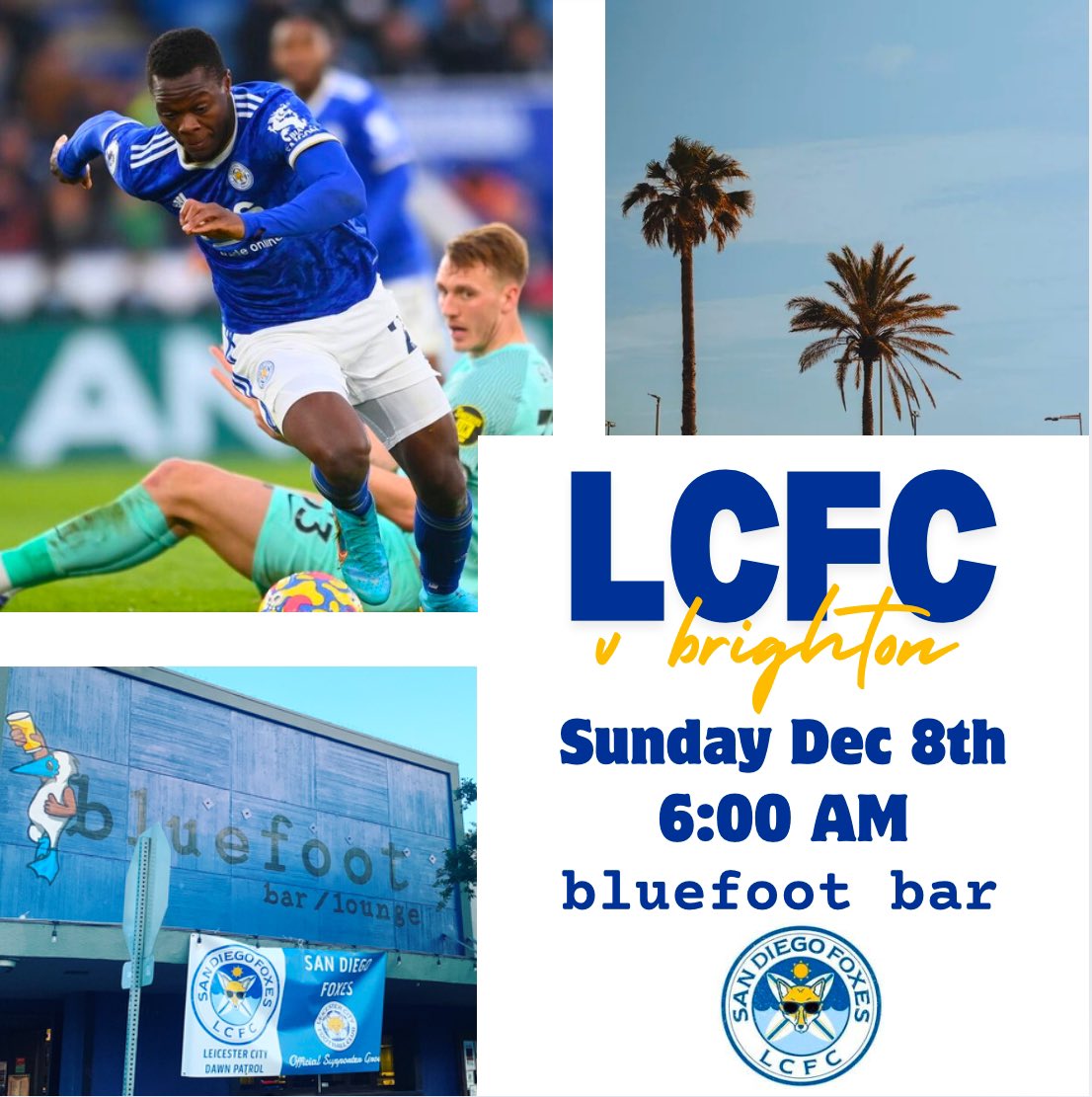 San Diego Foxes tweet media