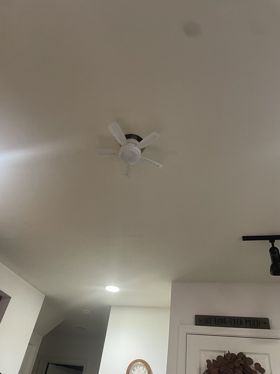 gwen! 🌸 tweet media