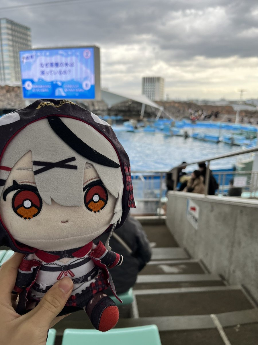 まろちゃ🐧⚡️⛩️🔅 tweet media