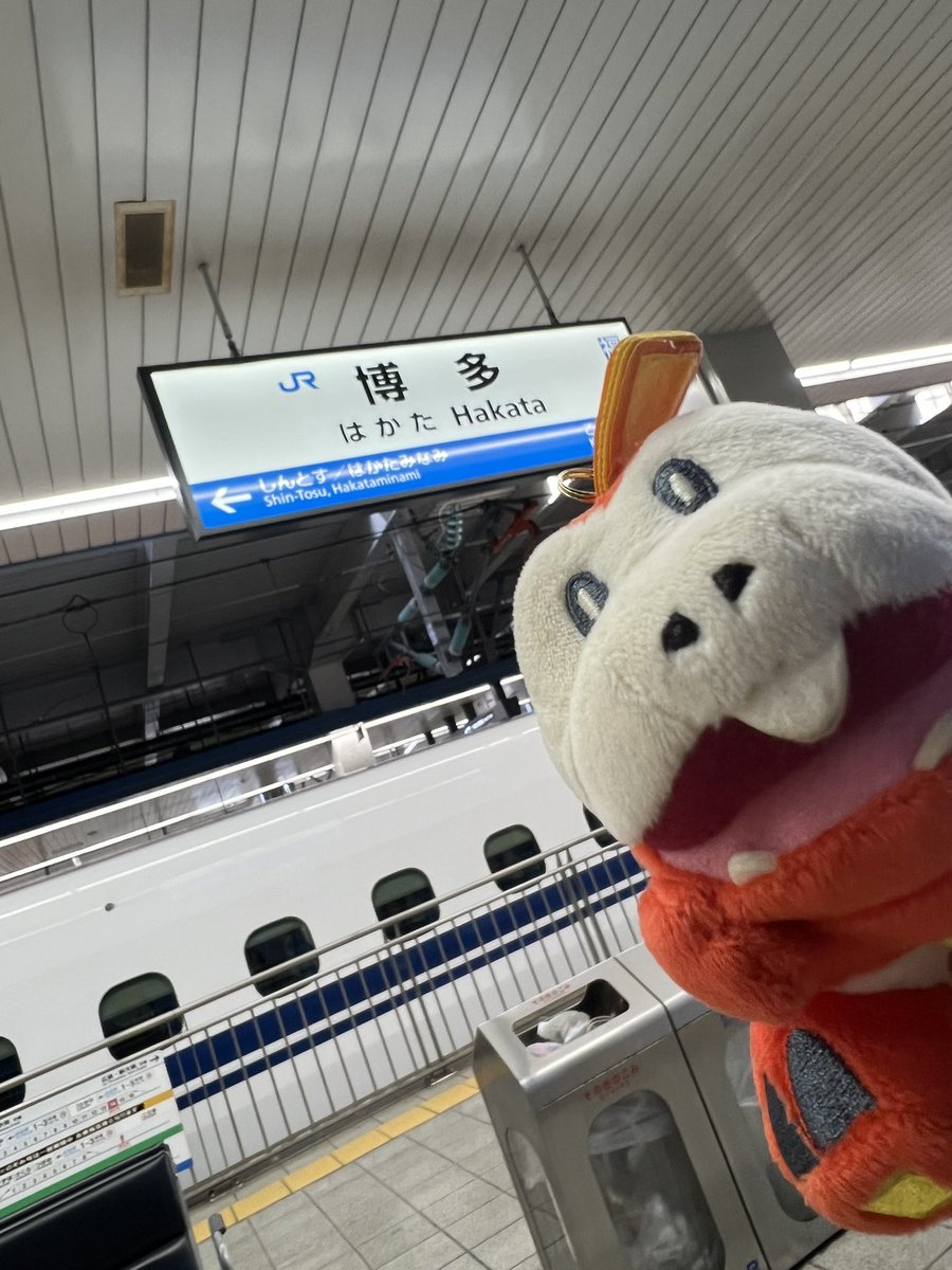 R89116121's tweet photo. 来ちゃいました https://t.co/bhFxCqA7g7