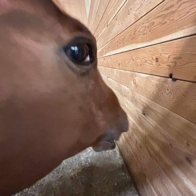 falaffal27's tweet photo. #NewProfilePic https://t.co/DYao1ktPjb