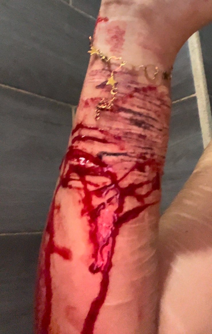 venus shedtwt tweet media