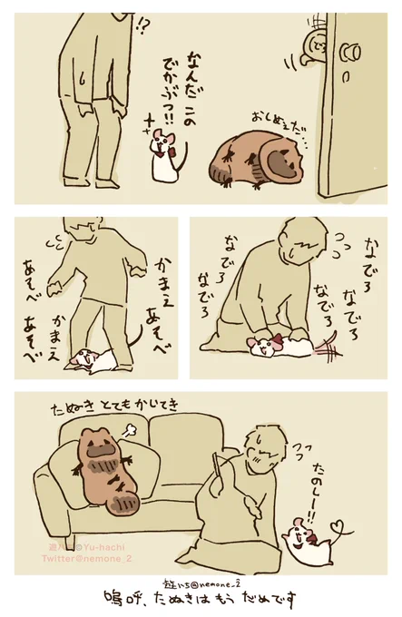 レンタル 