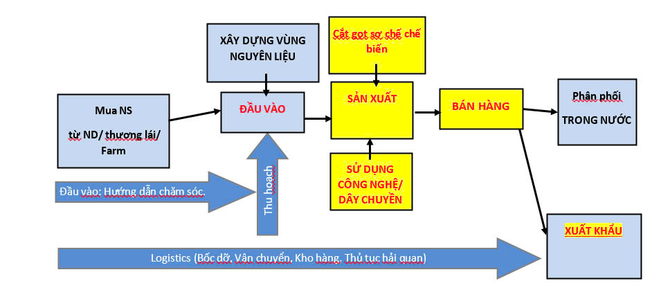 Ông Vikom quyết định bắt đầu sự nghiệp bằng xuất khẩu nông sản năm ông 23 tuổi- cách đây 50 năm. Thời đó ở Thái Lan - Vua Rama IX có tên đầy đủ là Bhumibol Adulyadej - đã có nhiều đóng góp cho ngành nông nghiệp nước nhà, góp phần đẩy mạnh phát triển kinh tế