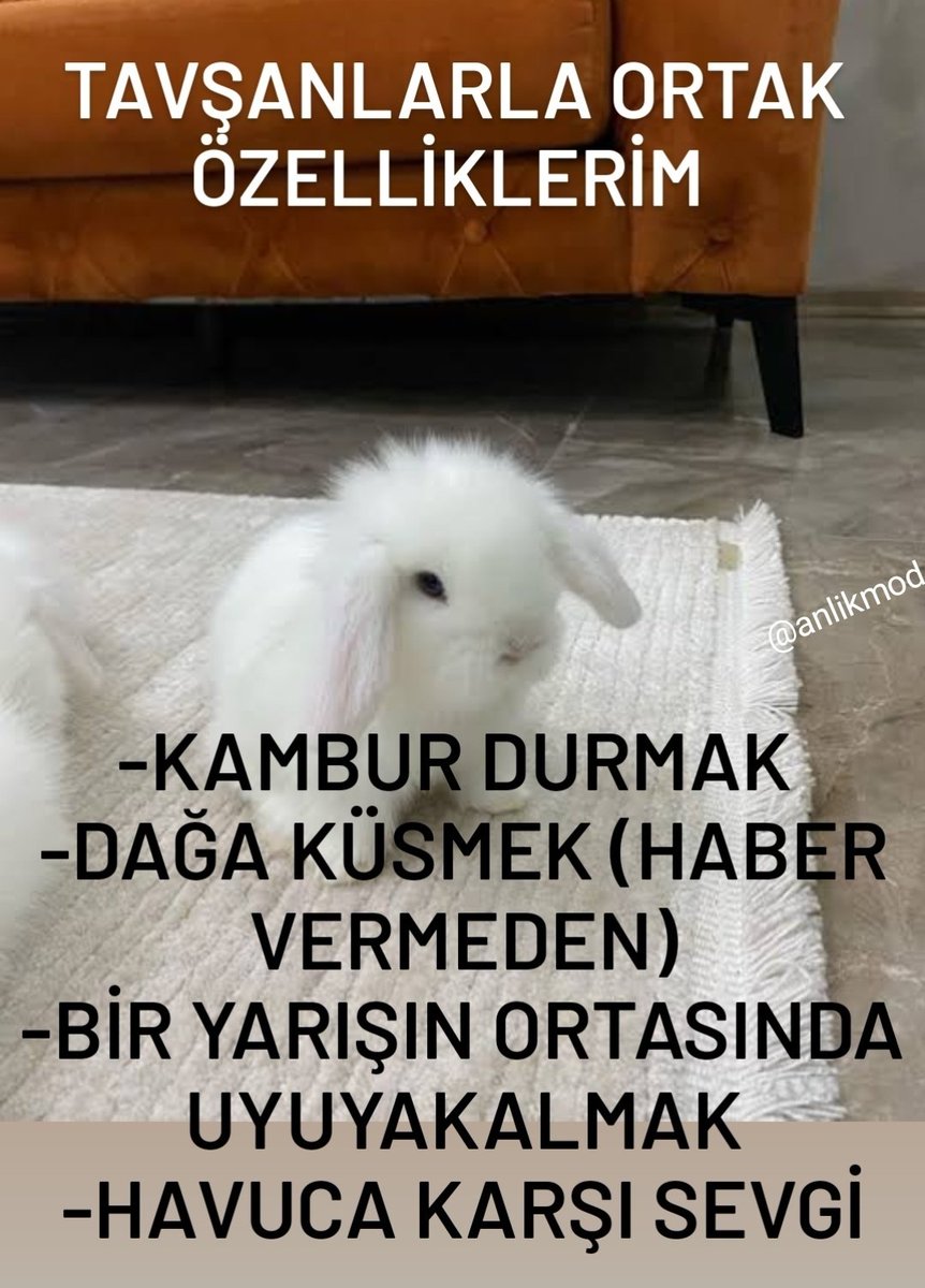 ANLIK (@anlikmod) on Twitter photo 