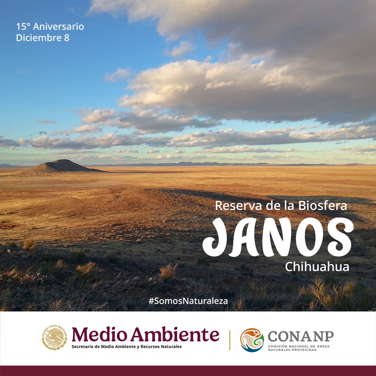 CONANP_mx's tweet photo. 🎉 Hoy celebramos el Aniversario de las #ÁreasNaturalesProtegidas:
🔸 Parque Nacional #IslaIsabel, en Nayarit
🔸 Reserva de la Biosfera #Janos, en Chihuahua
🔸 Parque Nacional #CañónDelSumidero, en Chiapas
#SomosNaturaleza 🌅🐦🏜️🌺🦬🏞️🐒🦇🐊 https://t.co/DZX6PiNjJB