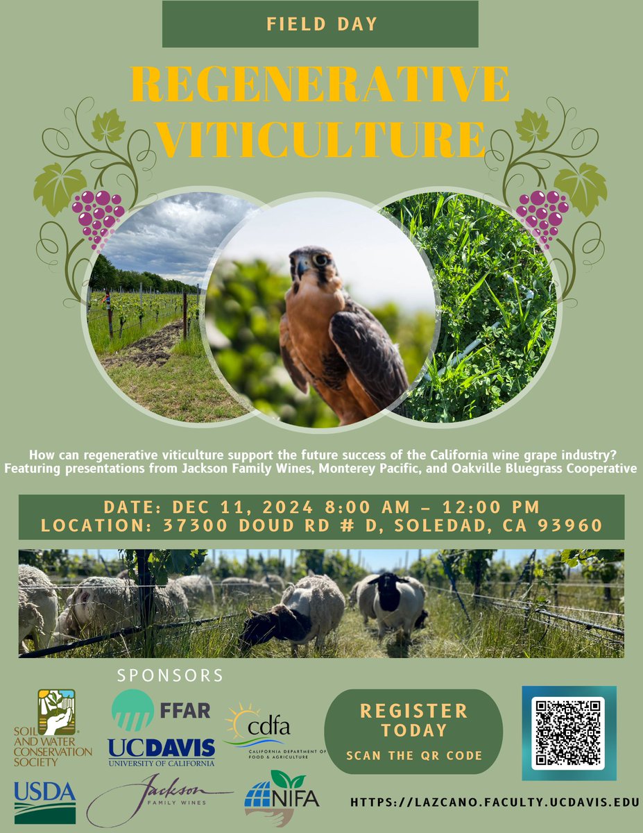 axelherreram's tweet image. 🌱Discover how #Regenerative #Viticulture is shaping the future of California&apos;s #Winegrape industry! Join us for a Field Day hosted by @JFW  at the Hacienda Vineyard in Soledad, CA 🍇
🗓Dec. 11, 2024
🎟Free! Register via the QR code on the flyer or here: bit.ly/3DdtxlX