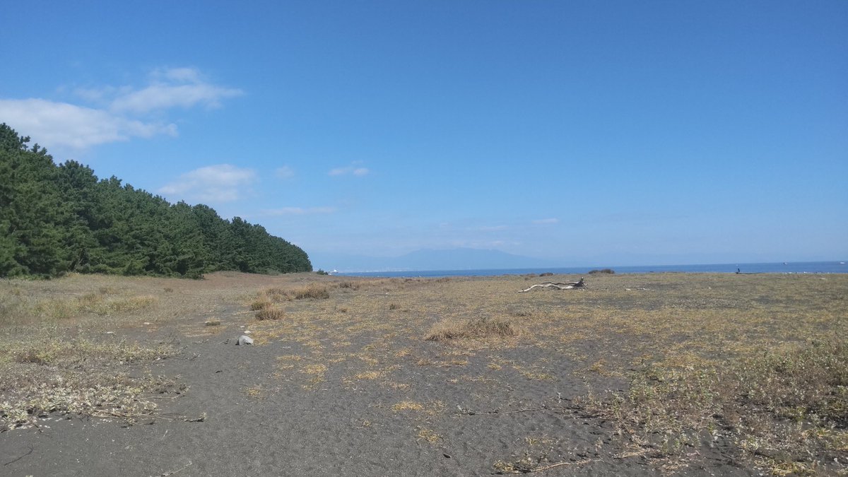 三保の松原を散歩して
日光浴しながらお昼寝(  ¯꒳​¯ )ᐝ