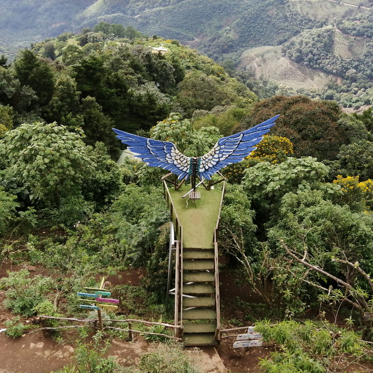 Servicio profesional en control de plagas domesticas 
contactenos sera un gusto servirle
