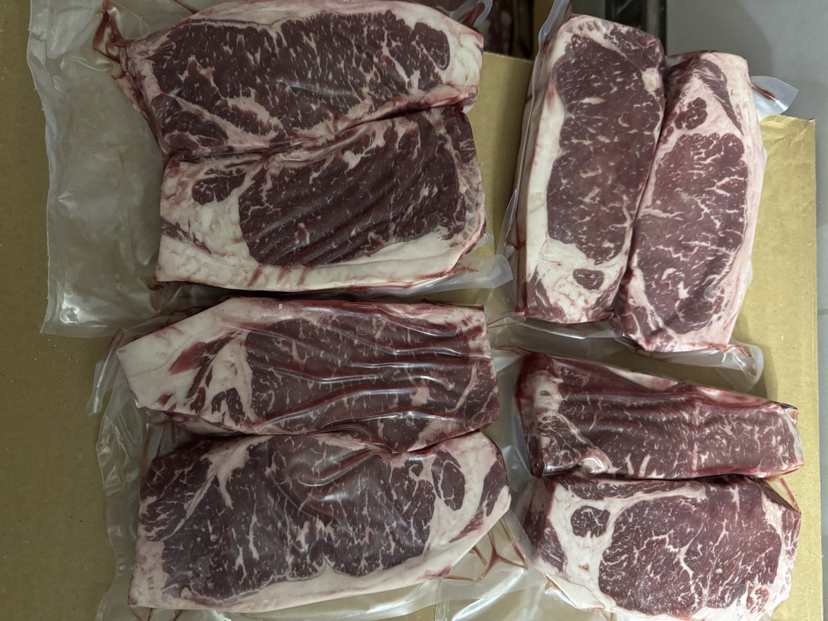 js2_cattle's tweet photo. #js2beef https://t.co/iwGsWNHZB3