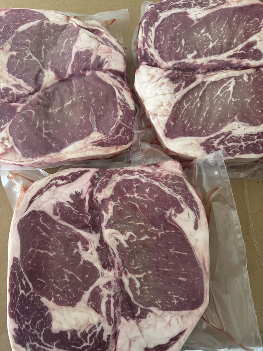 js2_cattle's tweet photo. #js2beef https://t.co/iwGsWNHZB3