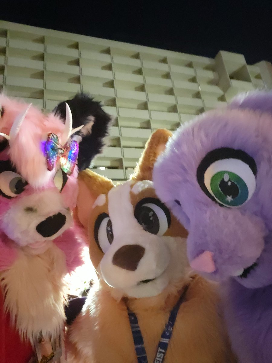 Hi Friends  waile visiting rosemont IL I made two new friends i met <a href="/ThatBingoHeeler/">Bingo Heeler🧡✨</a> &amp; <a href="/ThatFloppyBunny/">floppy bunny</a>  golly  it was so awesome to get to meet them