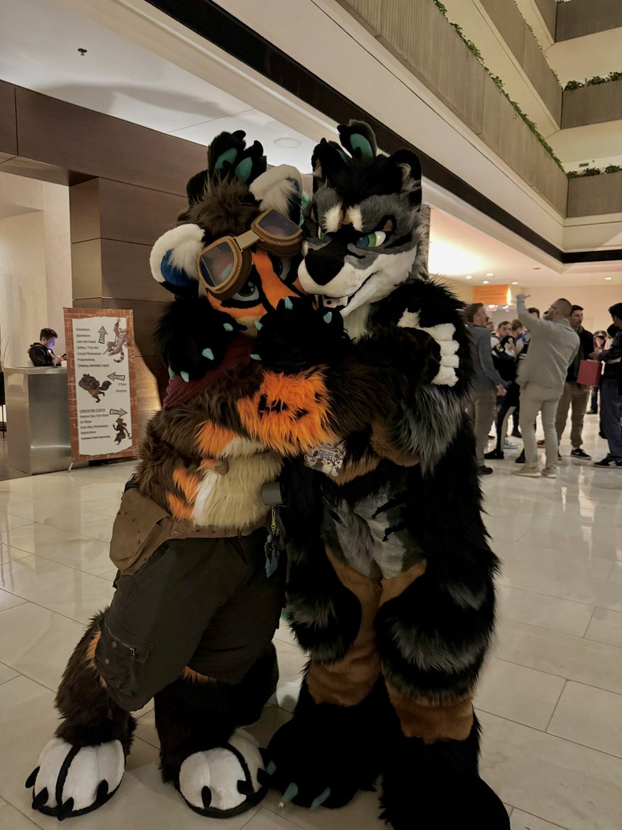 Archie π FWA (@archiefox_) on Twitter photo Heβs bullying meee!!! >:(
<a href="/Chutora/">Chu</a> 
<a href="/iMrequieM1/">iMrequieM</a> (photobomb)
πͺ‘: <a href="/TheKarelia/">TheKareliaFursuits π Furnavia + Scotiacon + NFC</a> 
#FursuitFriday Heβs bullying meee!!! >:(
<a href="/Chutora/">Chu</a> 
<a href="/iMrequieM1/">iMrequieM</a> (photobomb)
πͺ‘: <a href="/TheKarelia/">TheKareliaFursuits π Furnavia + Scotiacon + NFC</a> 
#FursuitFriday