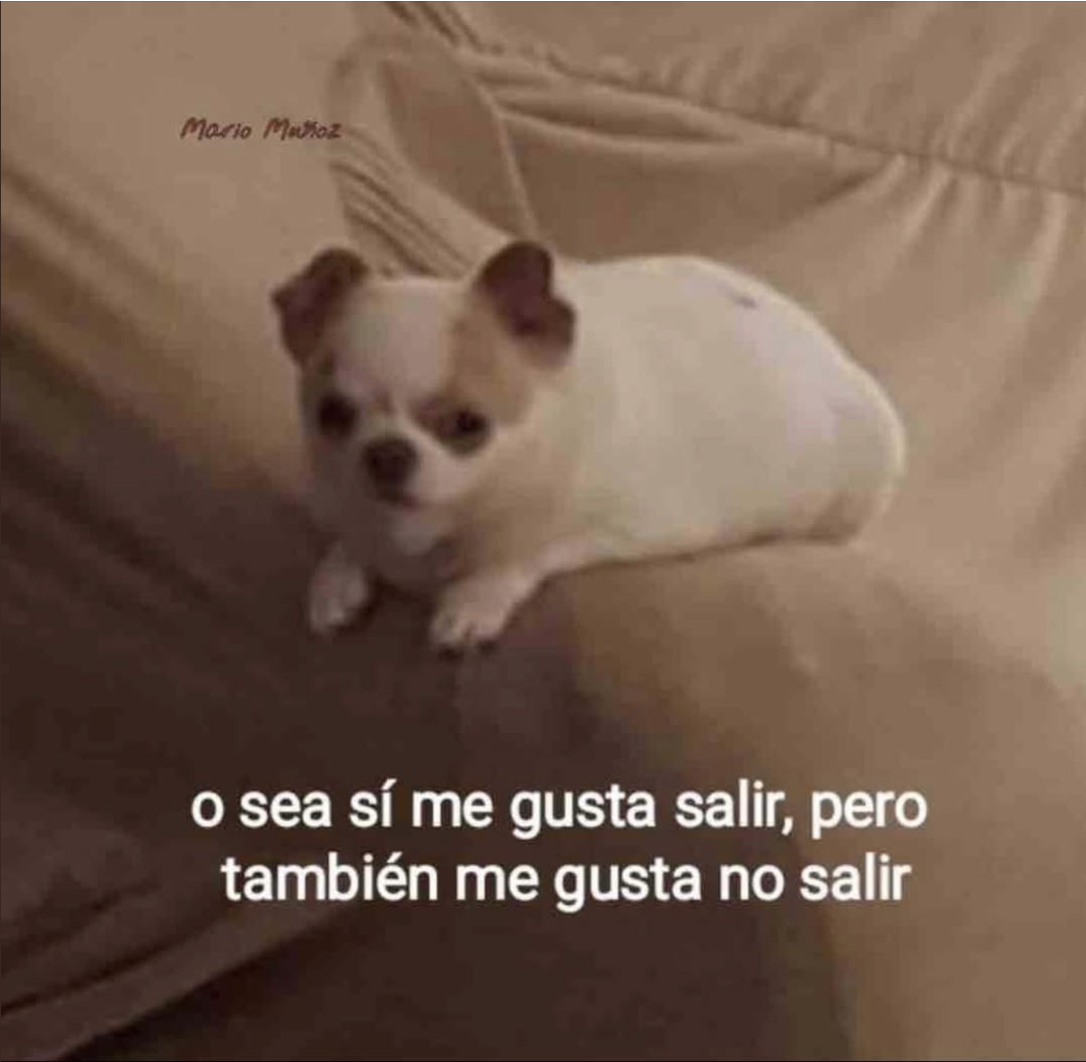 El Guarromántico tweet media