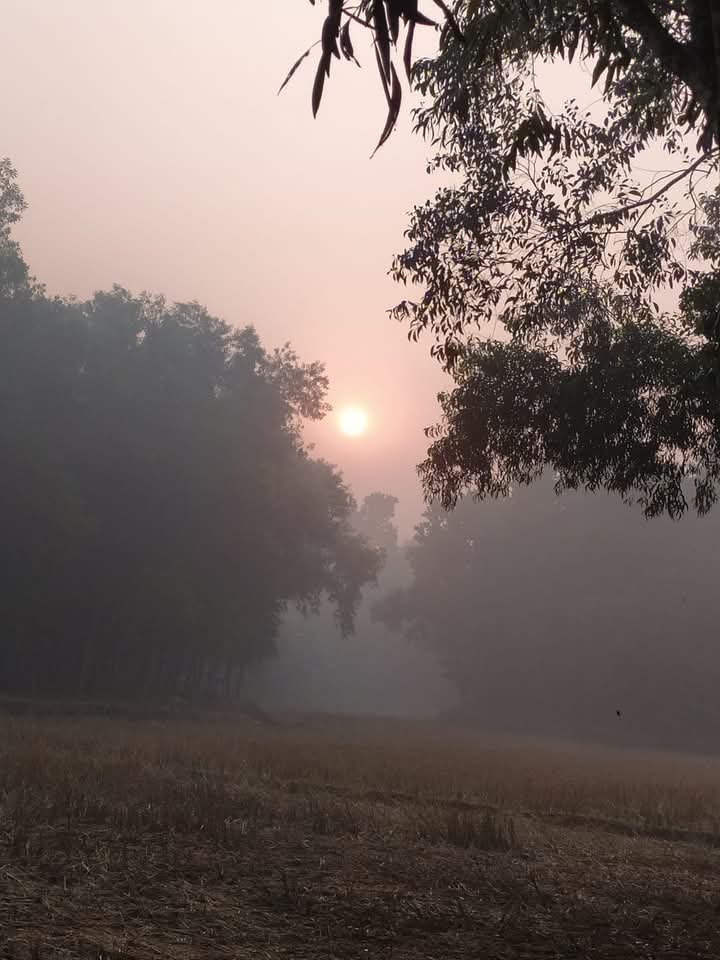 Mottakinonline's tweet photo. শীতের সকাল
#Bangladeshi https://t.co/e1tWo9B4oB