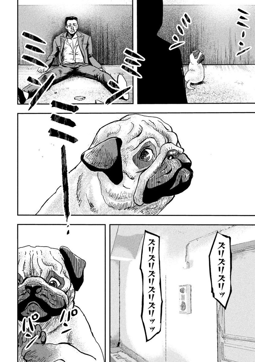 (5/5) 