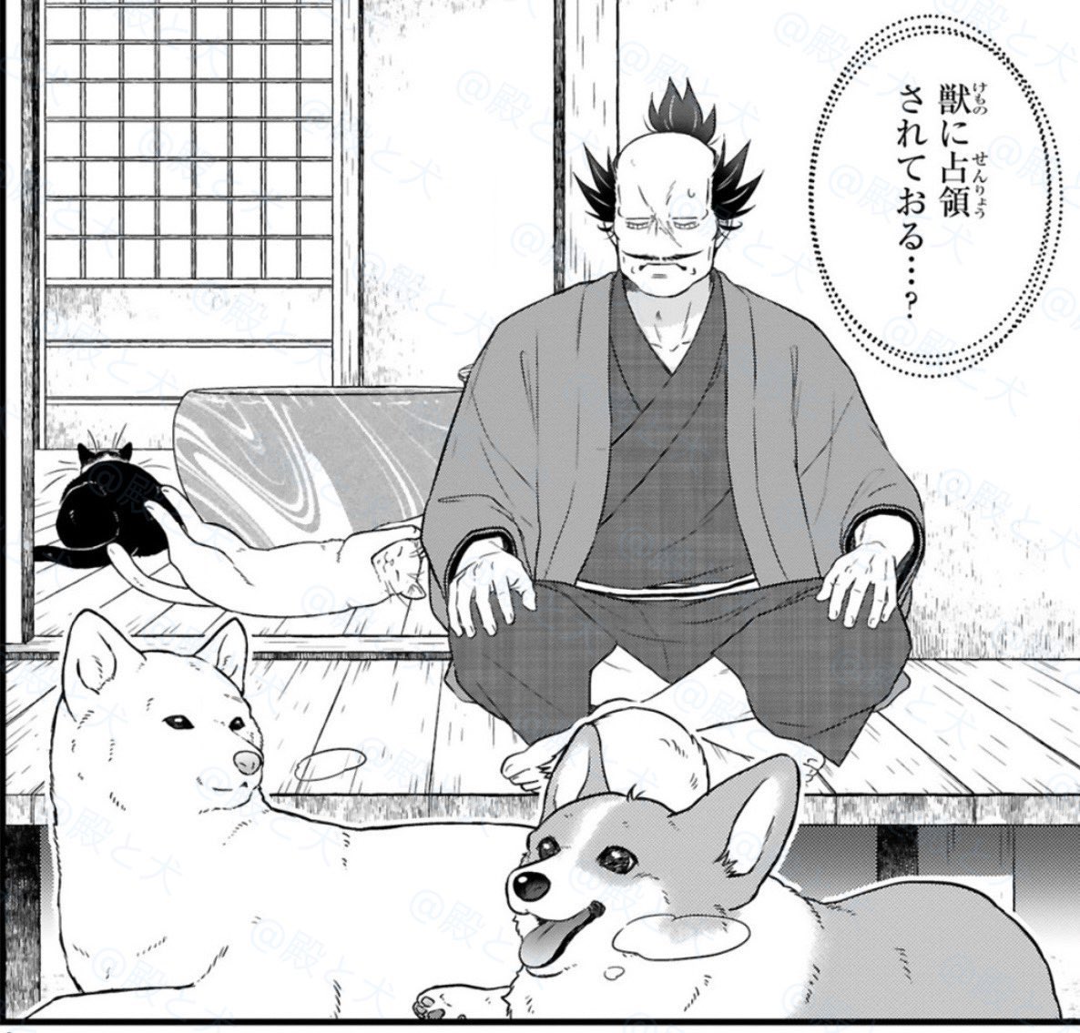 ˗ˏˋ 『#殿と犬』漫画情報まとめ ˎˊ˗
あたらしいお話🆓無料公開中👇
https://t.co/D0IfkyFet7
🎉ワンコ読み切り公開中
https://t.co/xMOwseF32O
🐾描き下ろしイラスト40種❗️
LINEスタンプ発売
https://t.co/CDNbpI4zpB
🍁コミックスとAmazon
https://t.co/ZVopO5JjRi
🐯『殿と犬』①巻