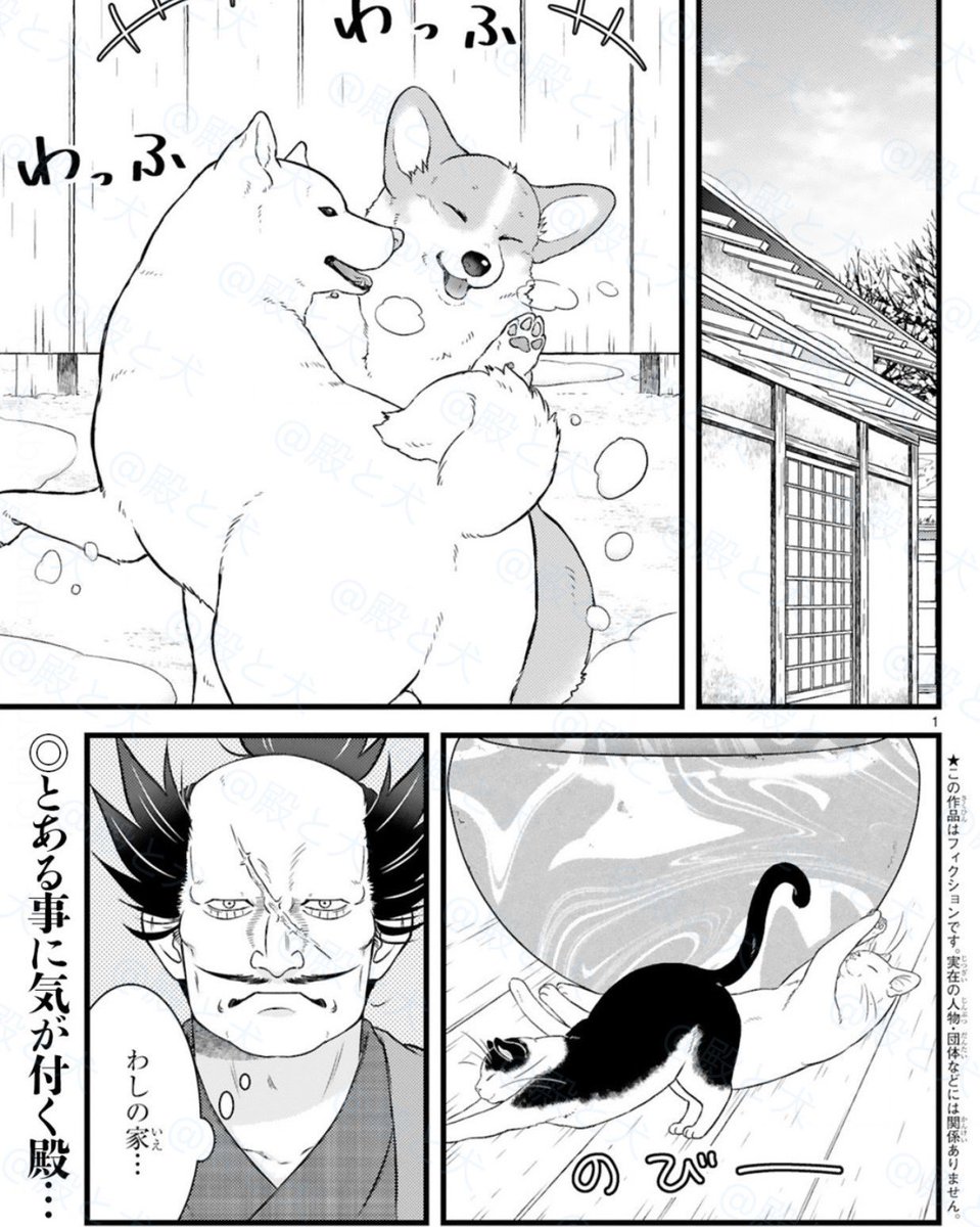 ˗ˏˋ 『#殿と犬』漫画情報まとめ ˎˊ˗
あたらしいお話🆓無料公開中👇
https://t.co/D0IfkyFet7
🎉ワンコ読み切り公開中
https://t.co/xMOwseF32O
🐾描き下ろしイラスト40種❗️
LINEスタンプ発売
https://t.co/CDNbpI4zpB
🍁コミックスとAmazon
https://t.co/ZVopO5JjRi
🐯『殿と犬』①巻